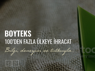 Boyteks Web sayfası Tasarımı