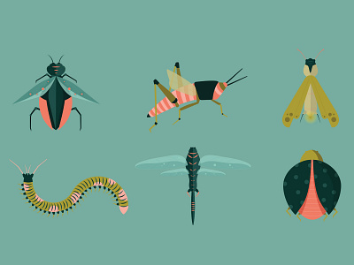 Insectaliens characterdesign design illustration vector