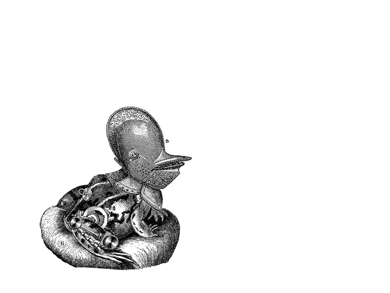 Reinforced toad on move animated gif animation collage design engraving frog gif illustration line art victorian vintage