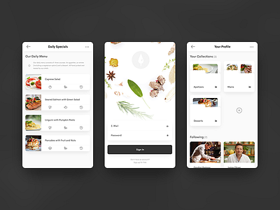 Food App Concept