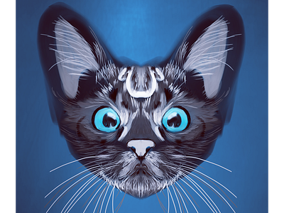 Neko art black blue cat illustration character charcoal color concept design digital graphic art graphicdesign grey illustration whiskers