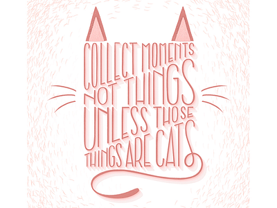 Cats > moments cats design illustrations lettering