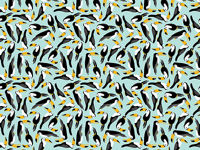 Toucans design illustrations toucans wallpaper