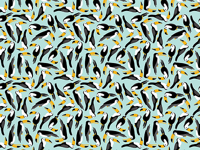 Toucans