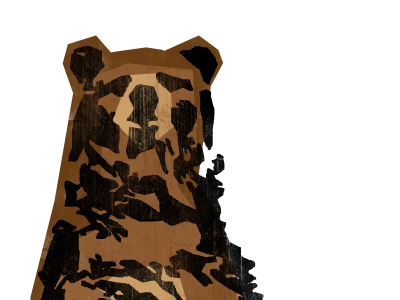 Bear bear brown illustration