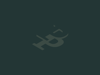Pp identity logomark negative space typography