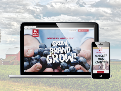 New Website for Ag Marketing Initiative lead generation responsive design