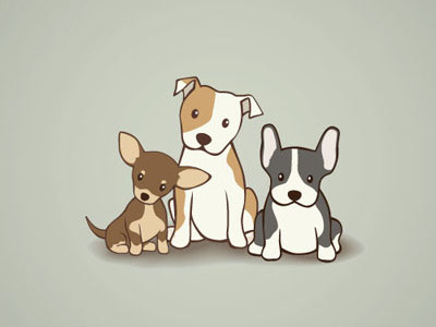 Puppies chihuahua dog french bulldog illustration puppy staffie vector