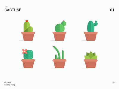 Plant cactus flower green home icon plant