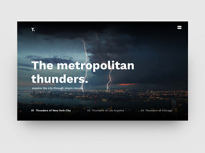 Metropolitan Thunders concept design nyc thunders ui ux web webdesign