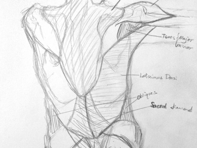 Human life drawing practice #1 graphite drawing human drawing muscle anatomy