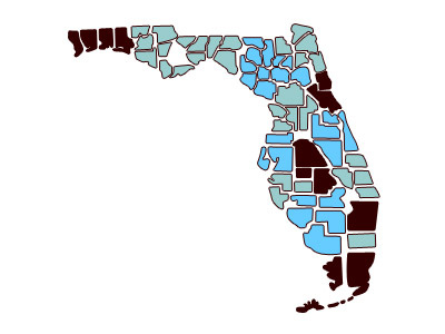 Initial FLA Regional & County Map for a Non-Profit color design illustration maps
