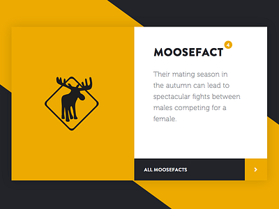 Roadworks MooseFacts