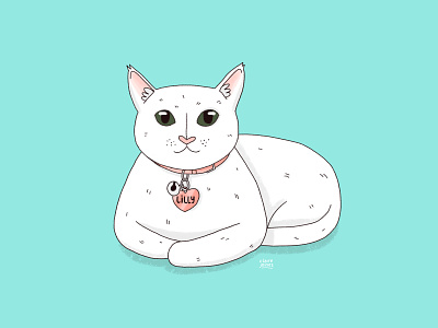 lilly cat digital art drawing illustration pet portrait portrait