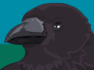 Crow crow illustration