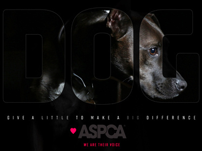ASPCA Ad advertisement graphic design