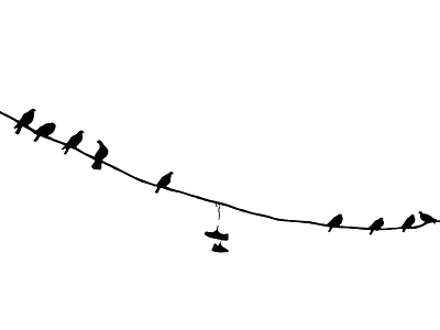 A dove without wings bird contrast dove shoes sky white wire