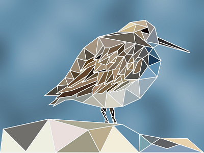 Polybird animal bird polygon polygon art vector