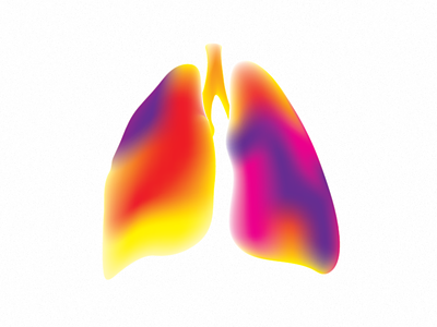 Rainbow lungs gradient lungs mesh organ rainbow