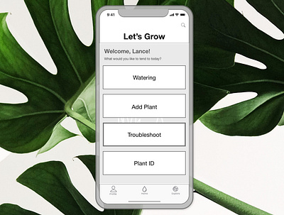 Let's Grow App plants ux uxdesign wireframes