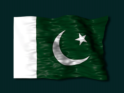 Flag Of Pakistan by dorusoftware on Dribbble