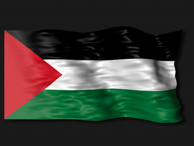Palestine Animated flag for After Effects after effects doru flag infographic kit map middle east palestine project template video videohive