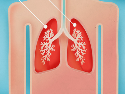medical illustration illustration
