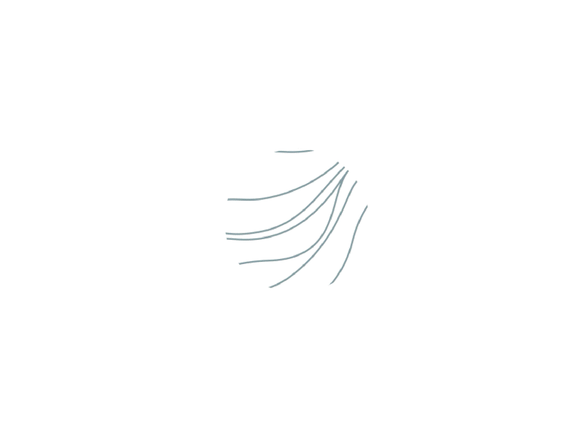 Jolipo lines signature logo detox skin juice animation