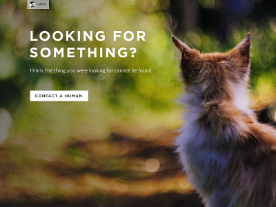 Looking for Something? – Error 404 404 cat cats design error error 404 page sopost ui web web design