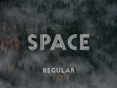 Spaceee display font fonts new space spaceline type typography