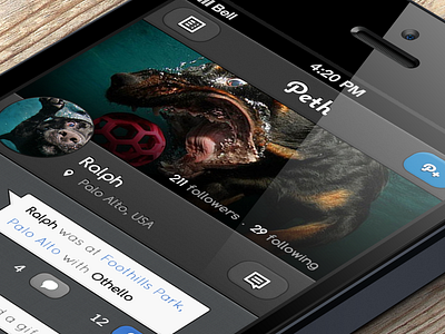 Just a joke - Peth comments dog emilie badin feed icon ios iphone app mockup network path pet pets profile social ui