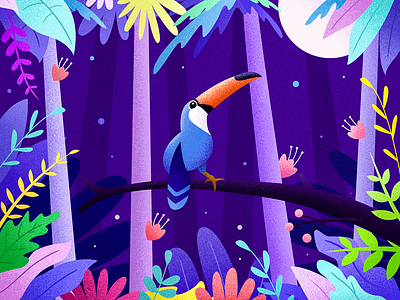 Rainforest bird illustration rainforest