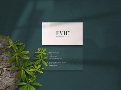 Evie Clinic & Spa Name Card aesthetic brand identity branding clinic design graphic design logo namecard spa stationery stationery design typography