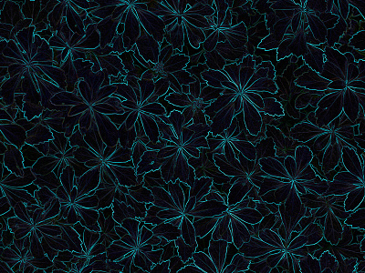 neon flowers | pattern design botanical branding illustration neon pattern a day pattern design photoshop