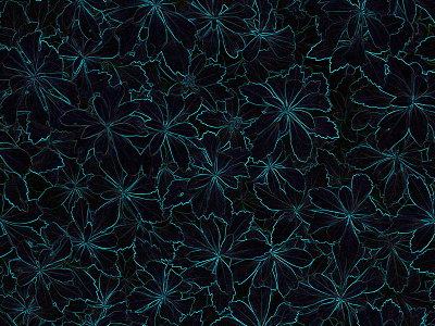 neon flowers | pattern design