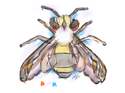 bee-a-utiful | sketching bee brushes experimental illustration layers photoshop sketch