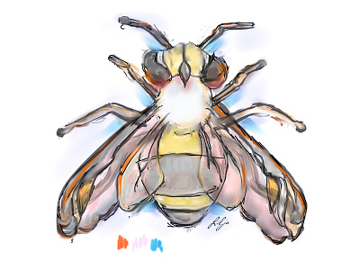 bee-a-utiful | sketching