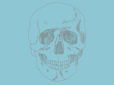 skullmania | sketching