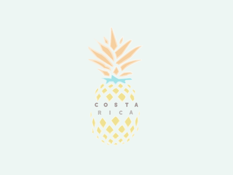 Costa Rica Pineapple bright color costa rica design gif illustration neon lights pastel color pineapple tropical tropical design vector