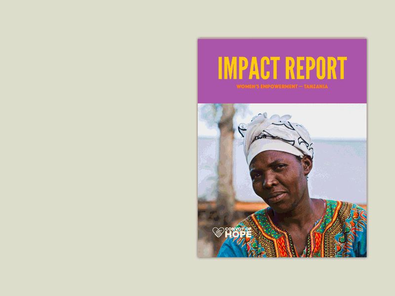 Impact Report gif layout non profit photography report