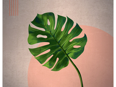 Monstera Leaf design digital painting monstera leaf photoshop