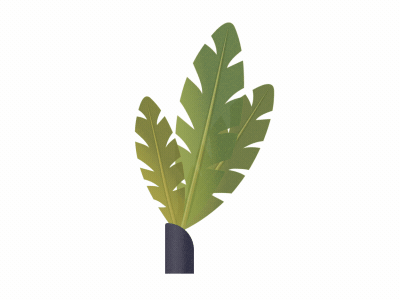 Leaves in the wind 2d animation after effects animation flat design flora illustration illustrator leaves