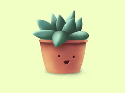 Succulent plant