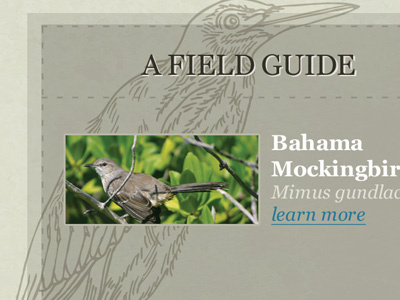 Field Guide