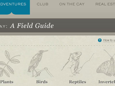 Field guide iconography typography ui