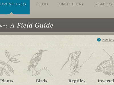 Field guide