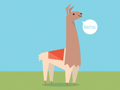 Llama flat llama