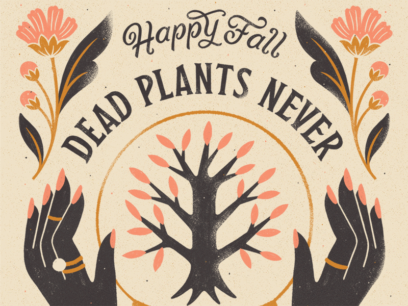 Dead Plants Never Looked So Pretty animation autumn distressed fall floral flower fortune teller halloween hands illustration jewelry lettering minimal rings script serif texture victorian