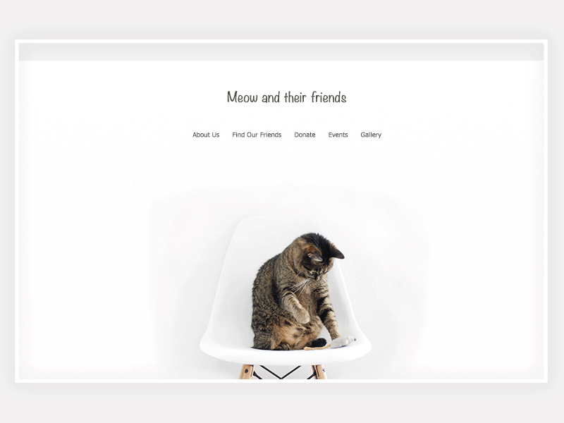 cat adoption website - Homepage