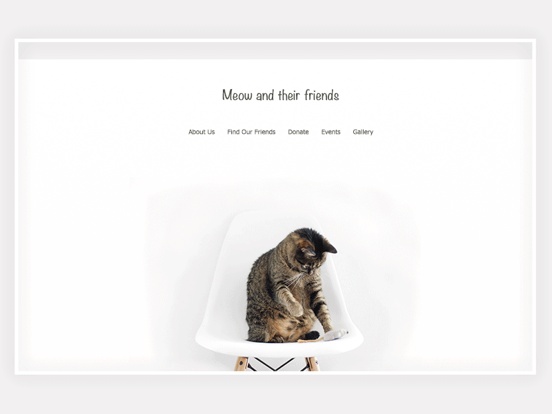 Cat Meme designs, themes, templates and downloadable graphic elements on  Dribbble